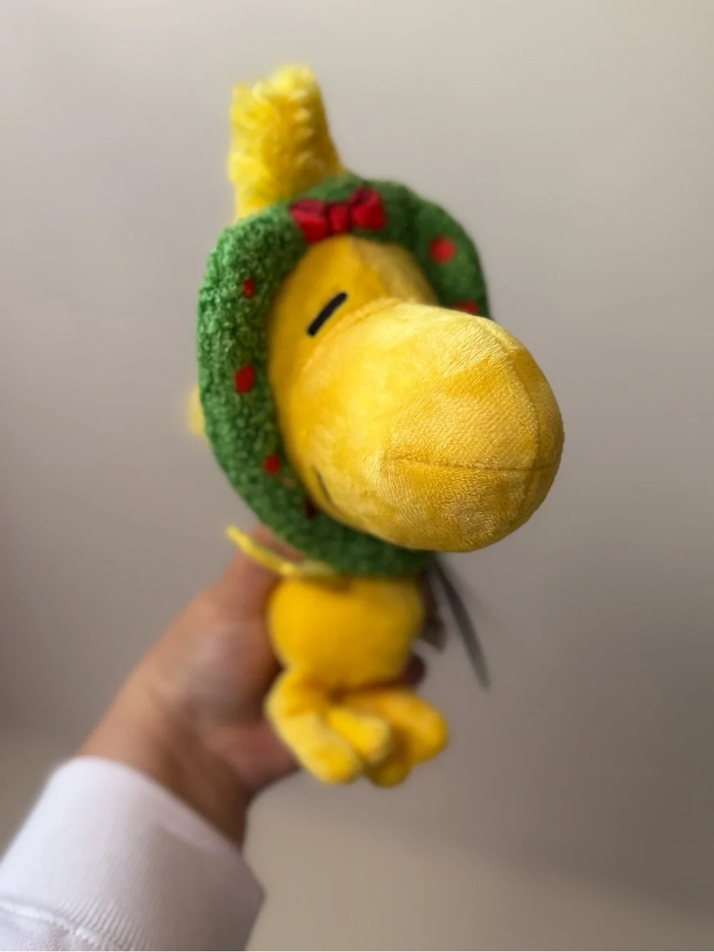 BarkBox Woodstock Squeak Toy